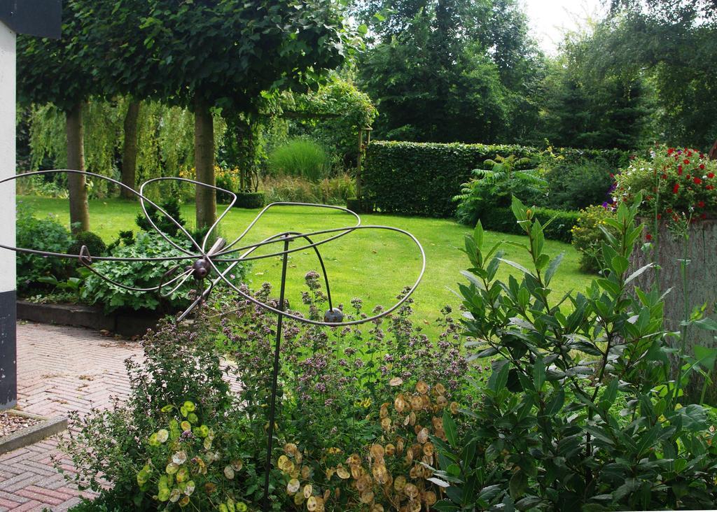 Bed&Breakfast 'T Eikeltje Hollandscheveld Eksteriør billede