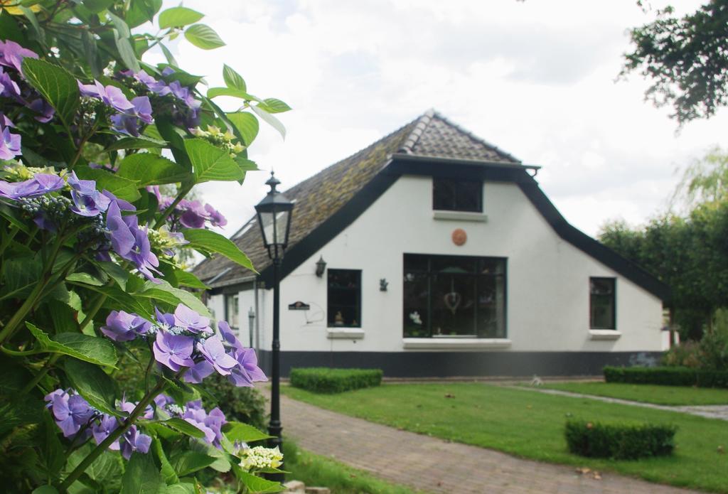Bed&Breakfast 'T Eikeltje Hollandscheveld Eksteriør billede