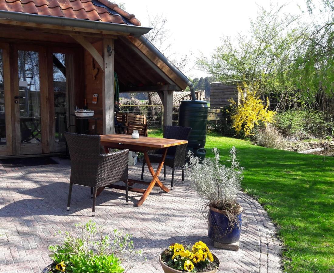 Bed&Breakfast 'T Eikeltje Hollandscheveld Eksteriør billede